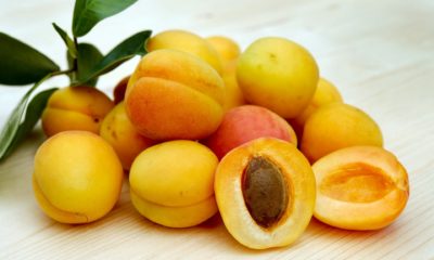 10 Health Benefits of Apricot