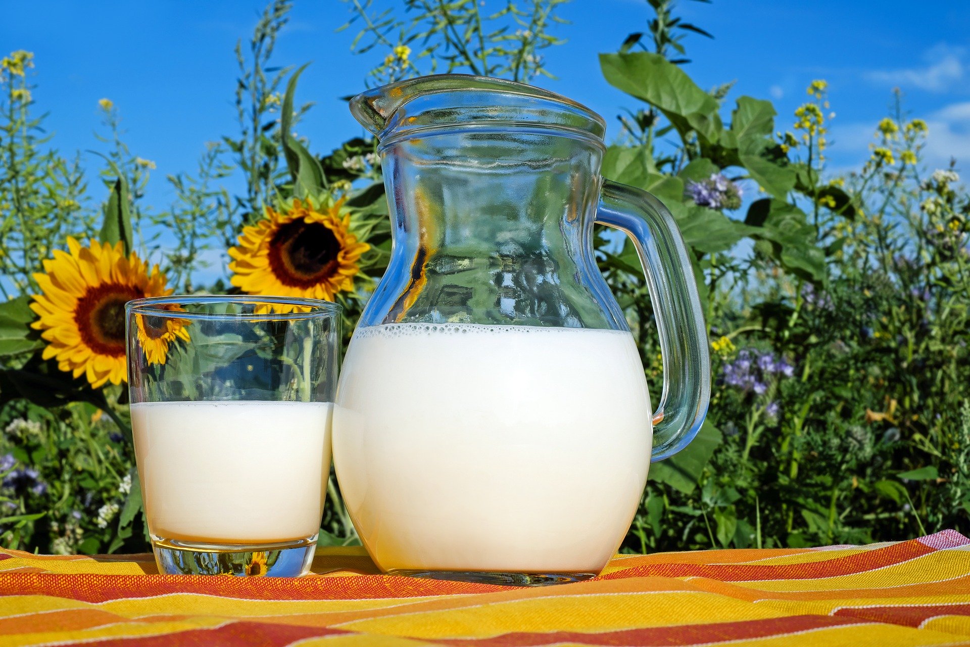 20 Health Benefits of Drinking Milk