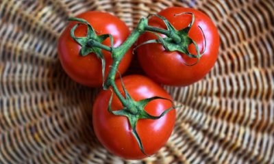 20 Health Benefits of Tomatoes
