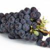 20 science-backed health benefits of grapes