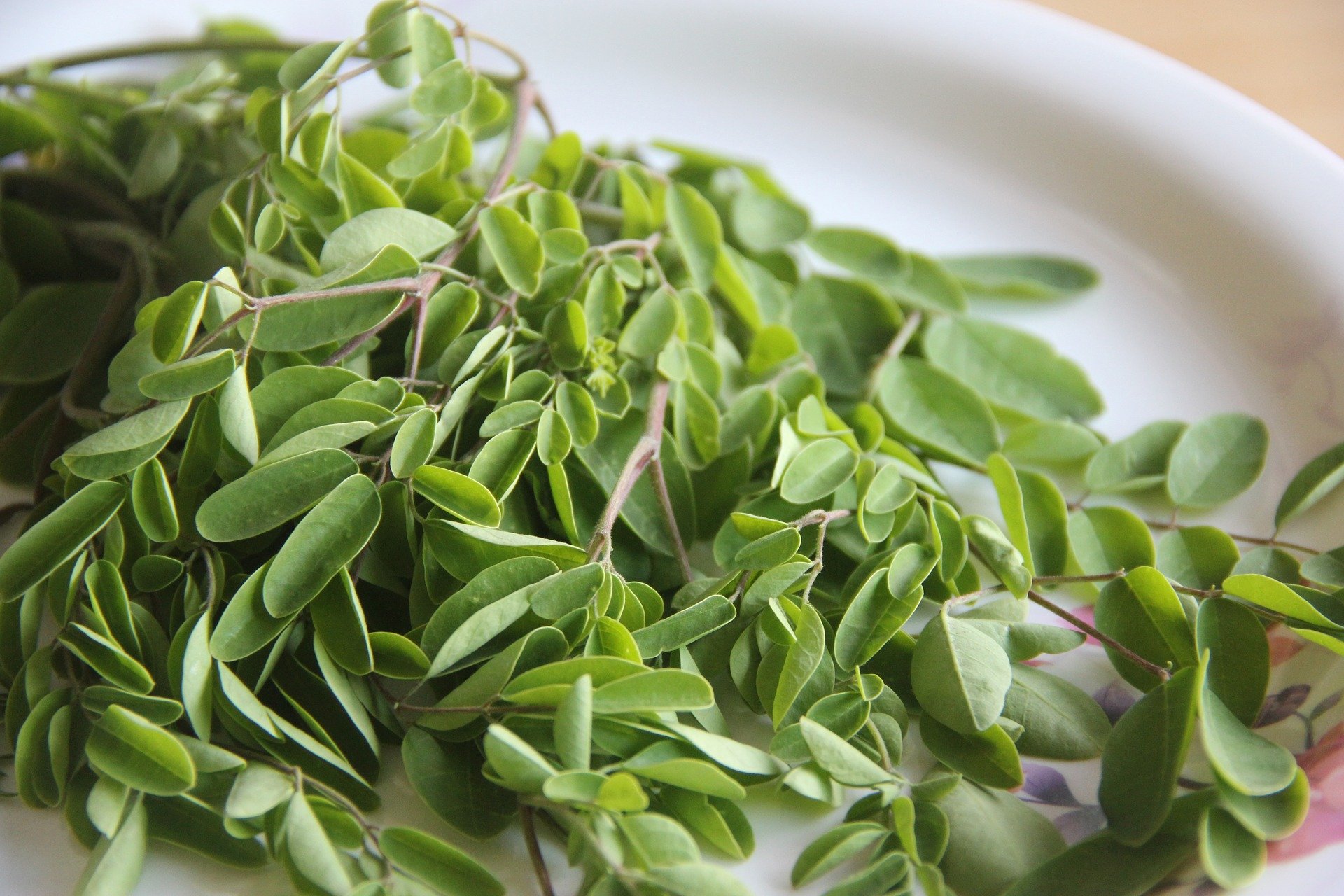 10 Amazing Health Benefits of Moringa