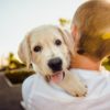15 Science-Backed Reasons You Need to Get a Dog
