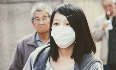 Everything You Ever Wanted to Know About Bird Flu