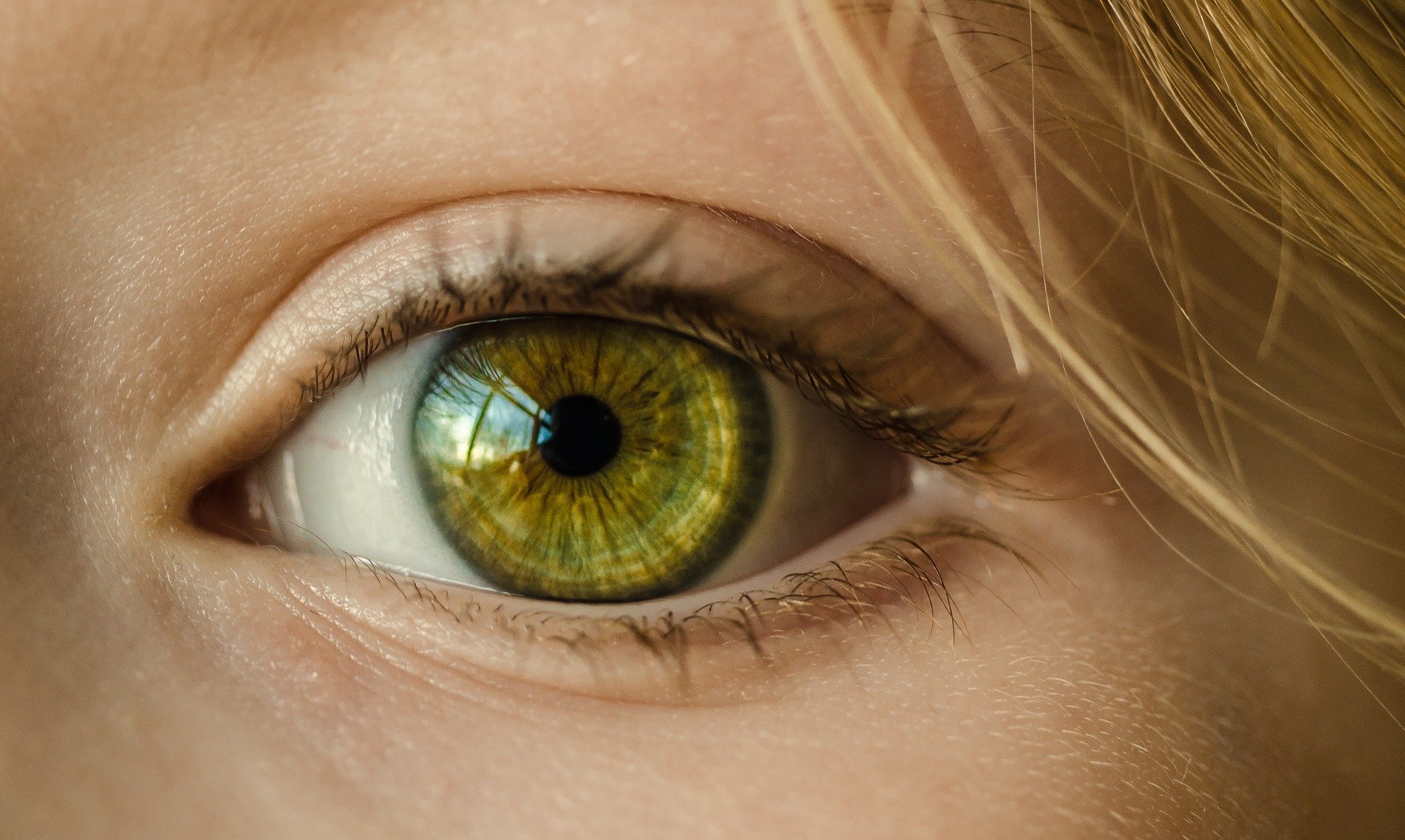 8 Vision-Enhancing Superfoods for Your Eyes