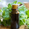 7 Amazing Benefits Of Oregano Oil For Skin