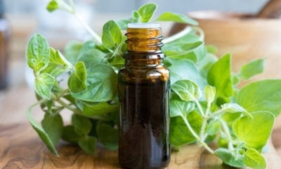 7 Amazing Benefits Of Oregano Oil For Skin