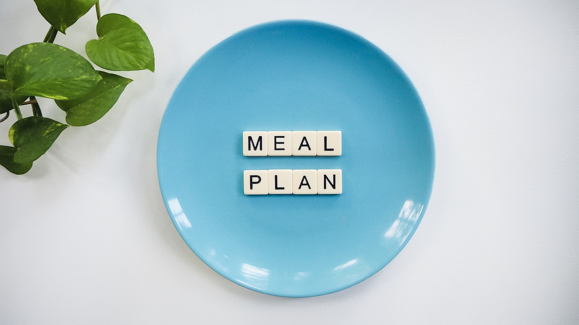 How to Create Your Own Personalized Diet Plan & Feel Healthy