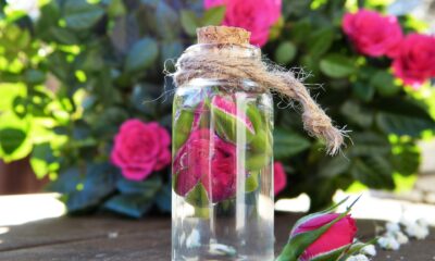 Rose Water Health Benefits: From Antioxidants to Anti-Aging