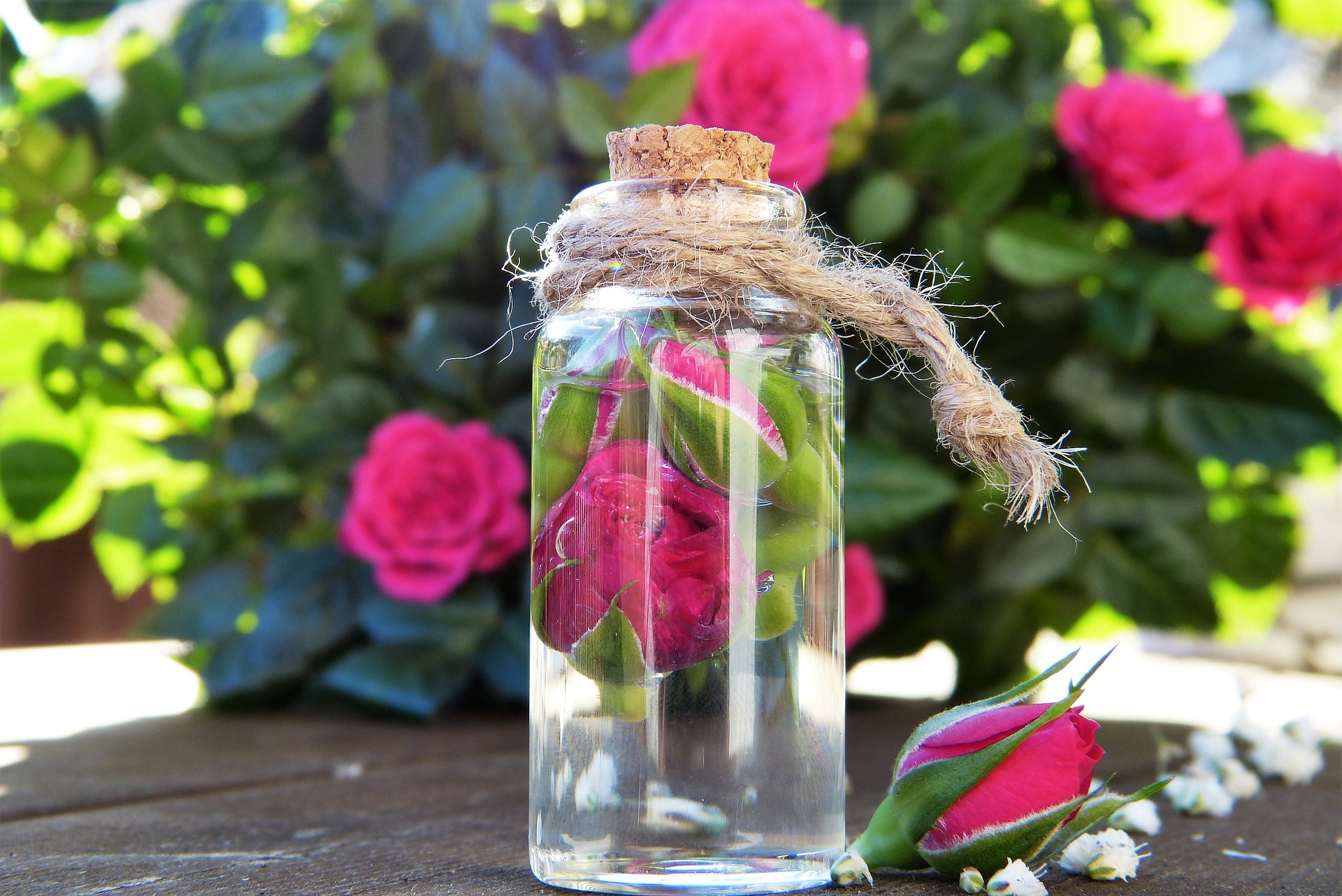 Rose Water Health Benefits: From Antioxidants to Anti-Aging