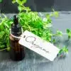 Oregano Oil Benefits For Skin That You Did Not Know!